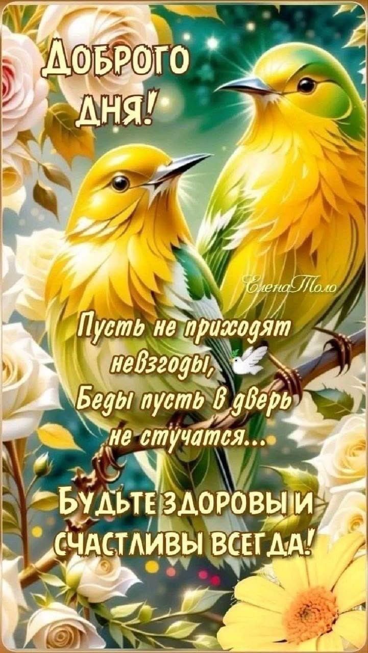 Доброего дня! Пускай не приходят невзгоды, Беды пусть в двер не стучатся... Будьте здоровы и счастливы всегда!