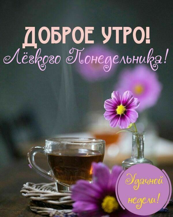 ДОБРОЕ УТРО! ЛЁГКОГО ПОНЕДЕЛЬНИКА! Удачной недели!