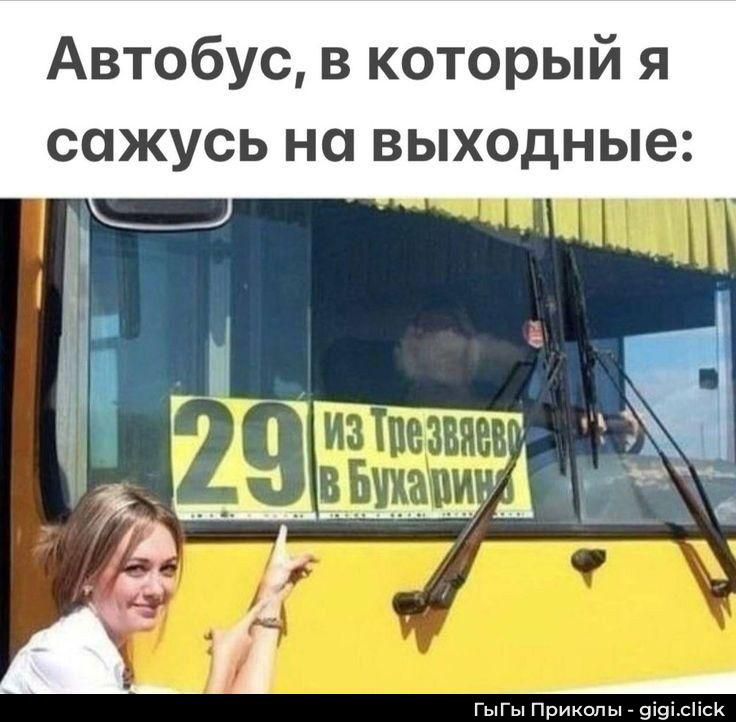 Автобус, в который я сажусь на выходные: 29 из Трезневево в Бухарину