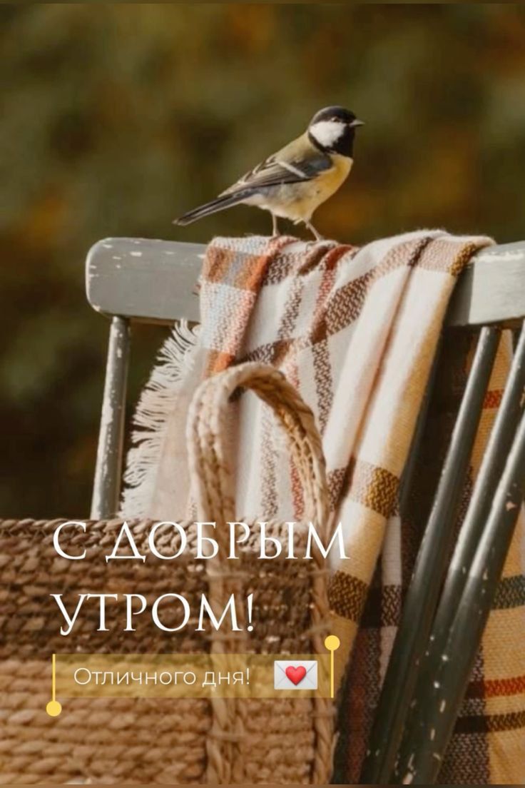 С ДОБРЫМ УТРОМ! Отличного дня!