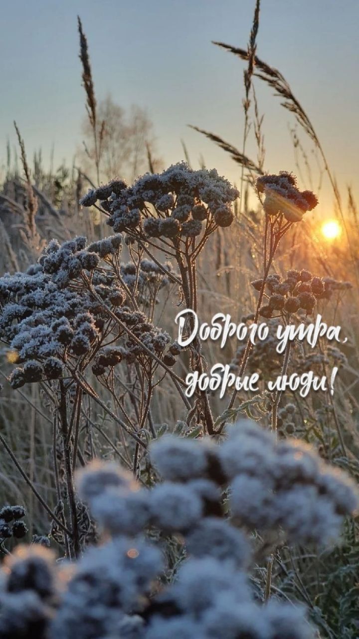 Доброе утро, добрые люди!