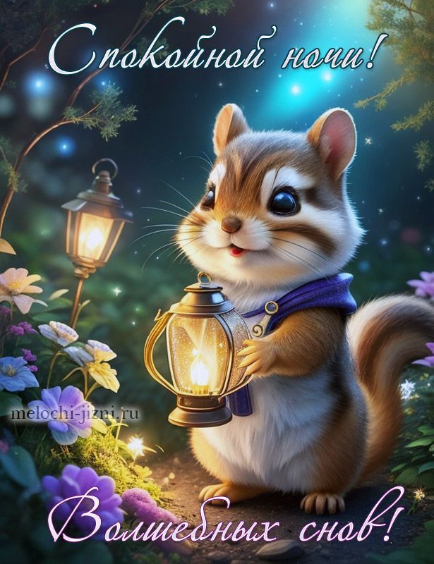 Спокойной ночи! Волшебных снов!