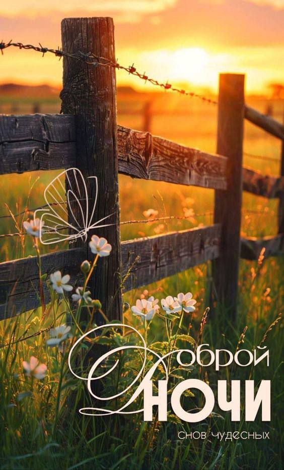 Доброй Ночи. Снов чудесных.