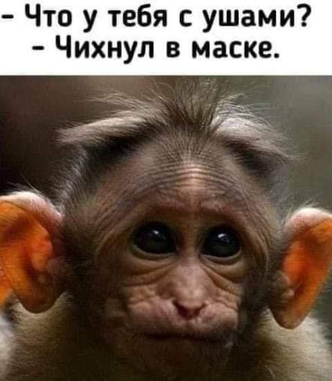 - Что у тебя с ушами? - Чихнул в маске.