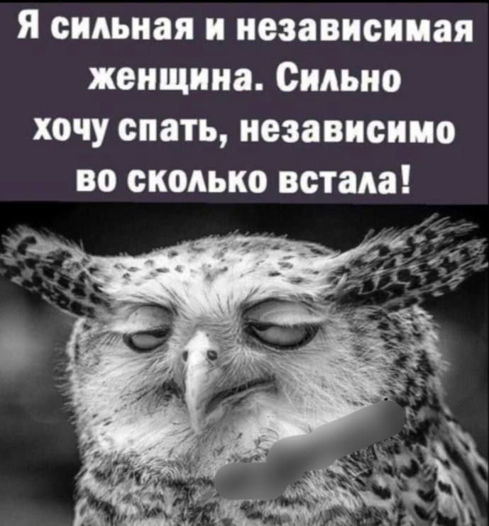 Я сильная и независимая женщина. Сильно хочу спать, независимо во сколько встала!