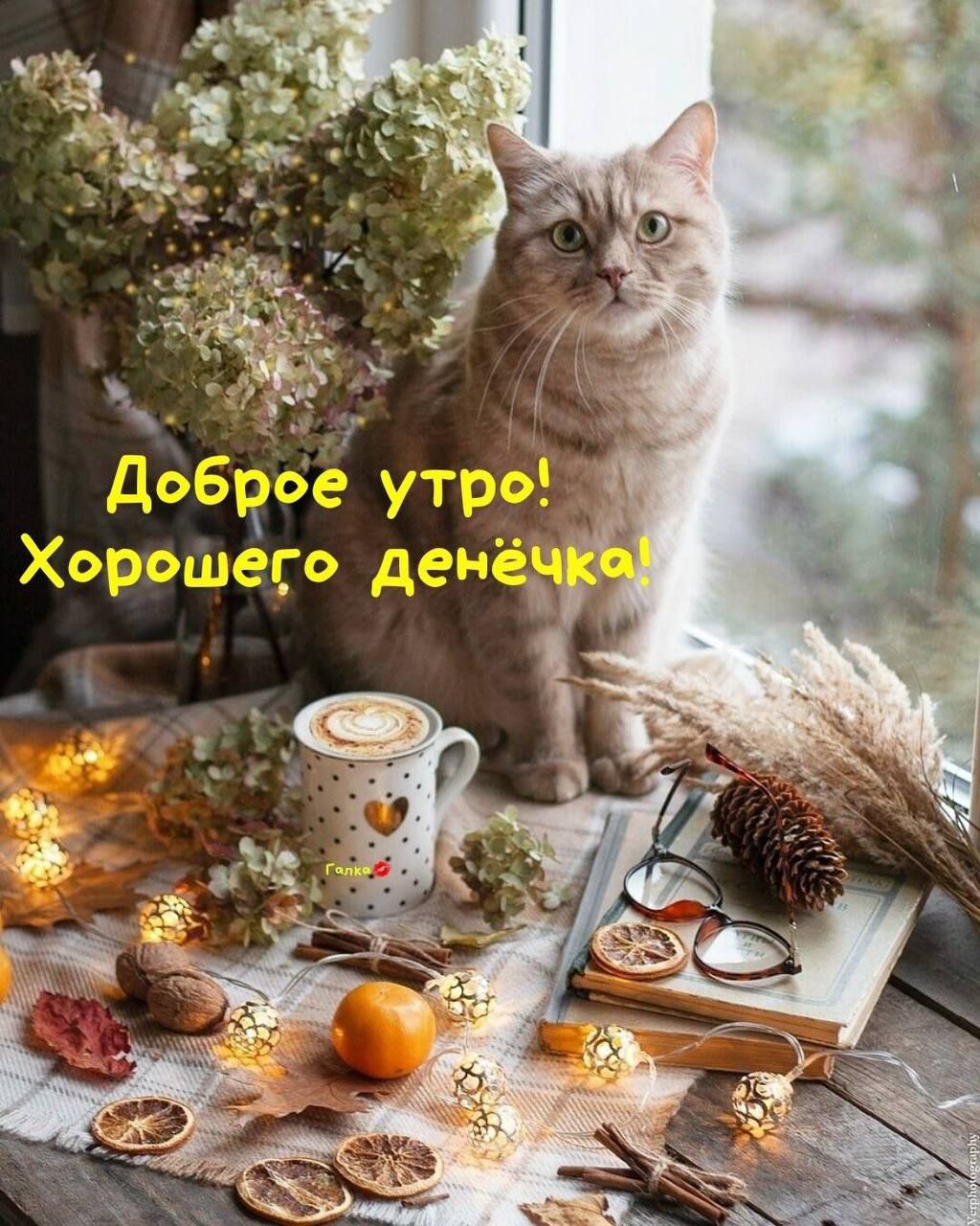 Доброе утро! Хорошего денёчка!