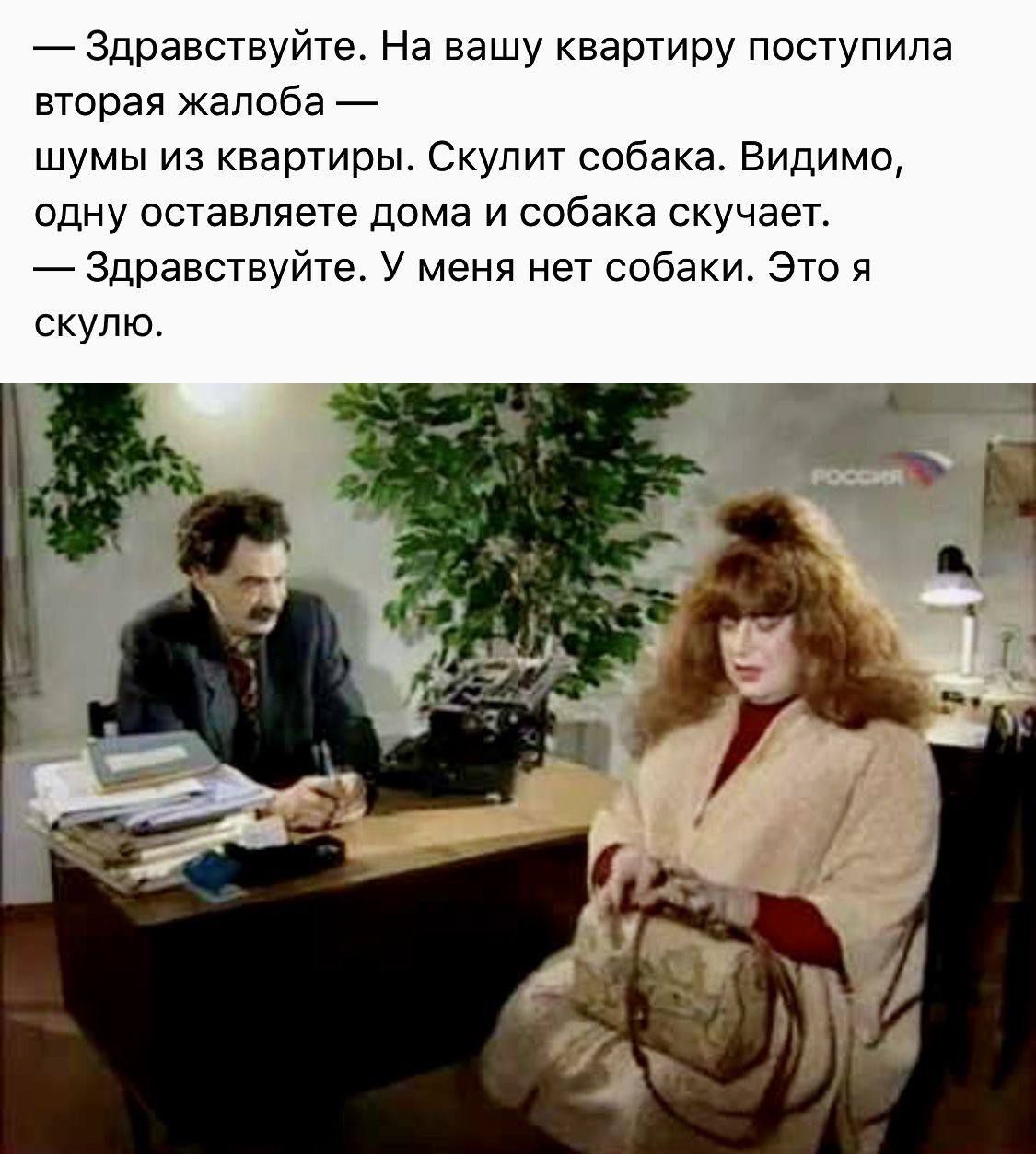 — Здравствуйте. На вашу квартиру поступила вторая жалоба — шумы из квартиры. Скулит собака. Видимо, одну оставляете дома и собака скучает. — Здравствуйте. У меня нет собаки. Это я скулю.