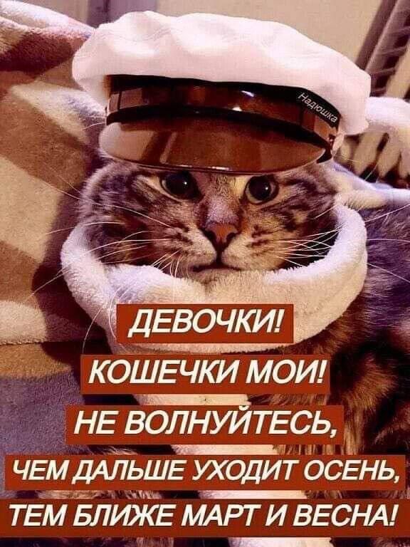 ДЕВОЧКИ! КОШЕЧКИ МОИ! НЕ ВОЛНУЙТЕСЬ, ЧЕМ ДАЛЬШЕ УХОДИТ ОСЕНЬ, ТЕМ БЛИЖЕ МАРТ И ВЕСНА!