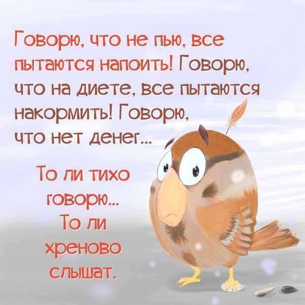 Говорю, что не пью, все пытаются напоить! Говорю, что на диете, все пытаются накормить! Говорю, что нет денег... То ли тихо говорю... То ли хреново слышат.