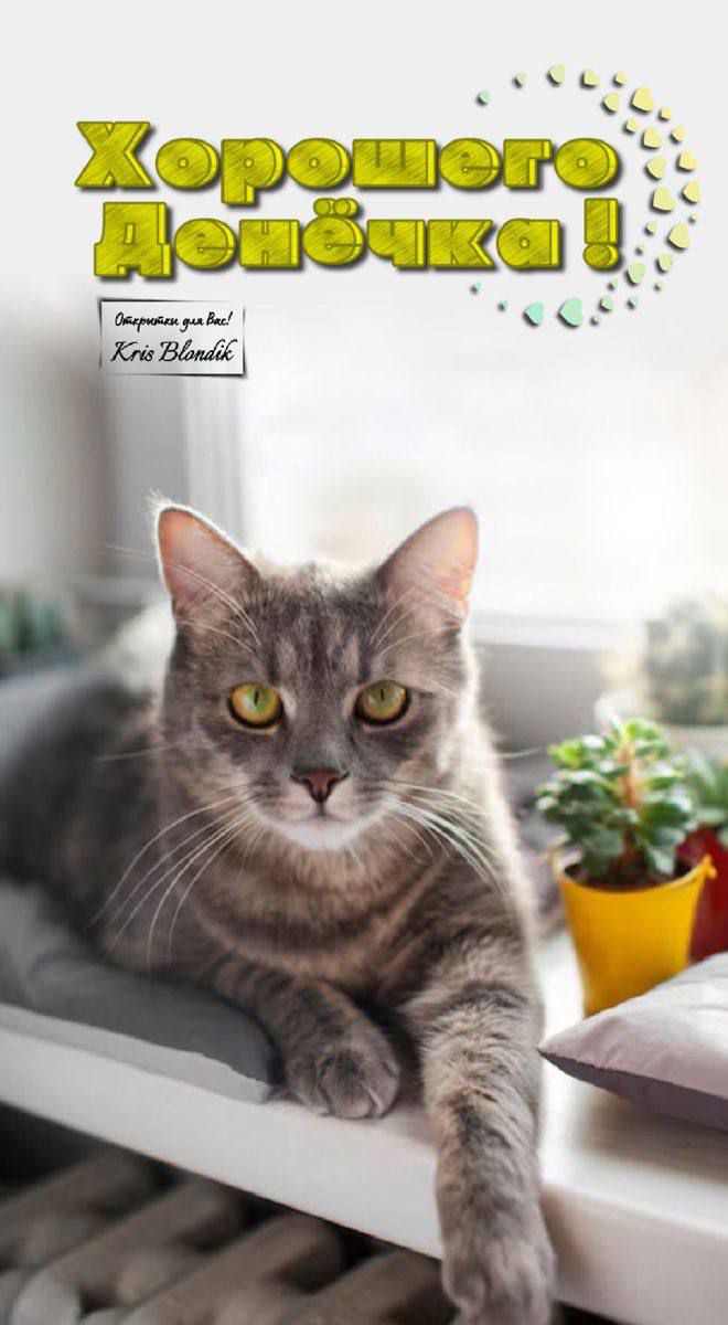 Хорошего денёчка!