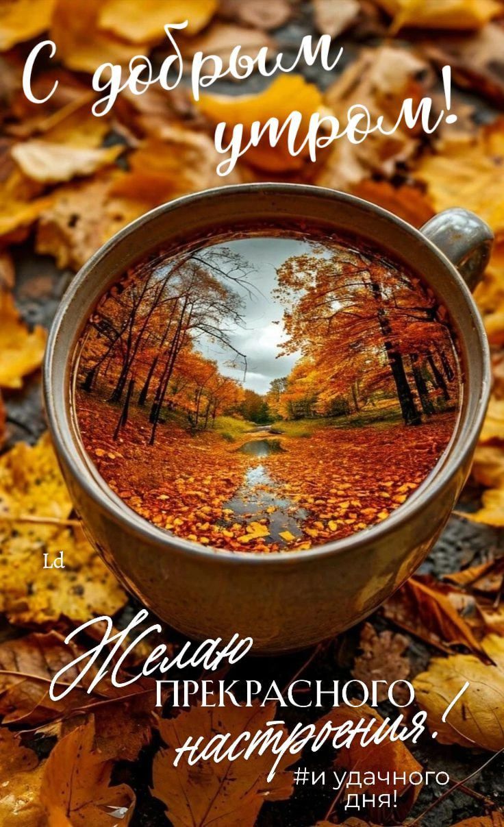 С добрым утром! Желаю прекрасного настроения! #Удачного дня!
