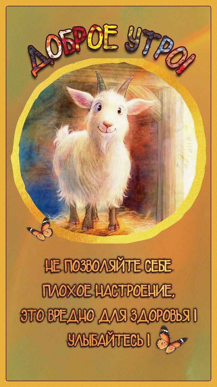 Доброе утро! Не позволяйте себе плохое настроение, это вредно для здоровья! Улыбайтесь!