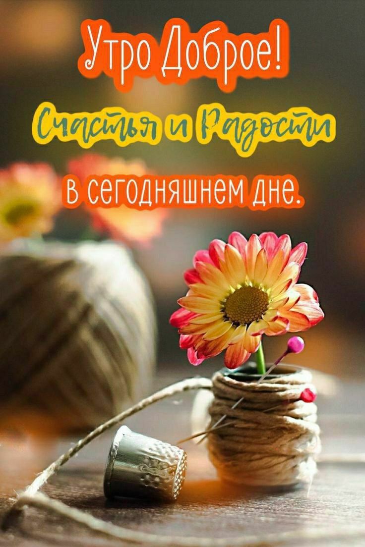 Утро доброе! Счастья и радости в сегодняшнем дне.