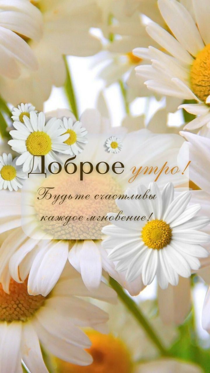 Доброе утро! Будьте счастливы каждое мгновение!