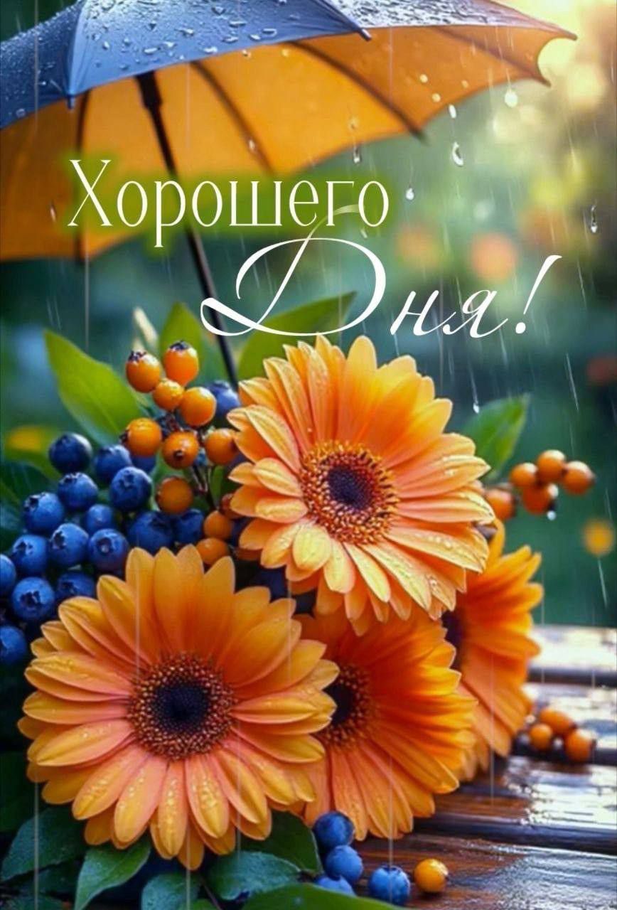 Хорошего Дня!