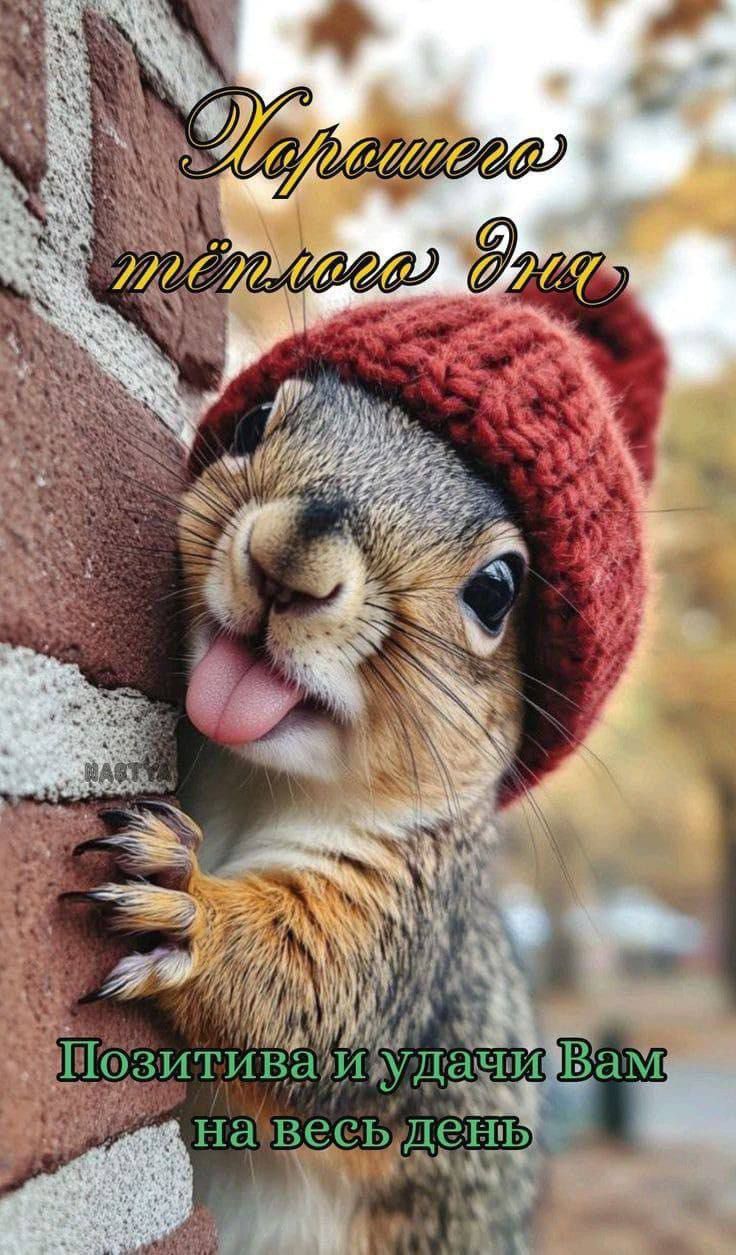 Хорошего теплого дня
Позитива и удачи Вам на весь день