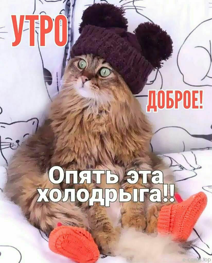 УТРО ДОБРОЕ! Опять эта холодрыга!!