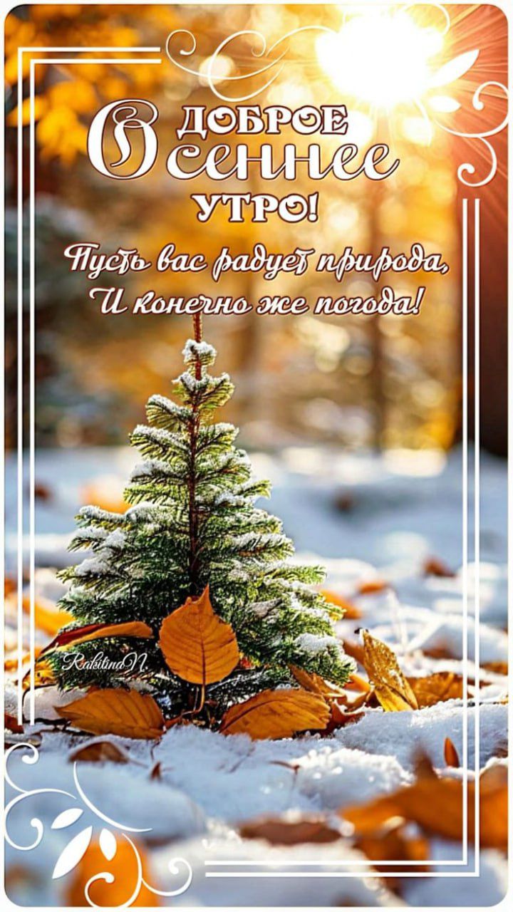 Доброе осеннее утро! Пусть вас радует природа, И конечно же погода!