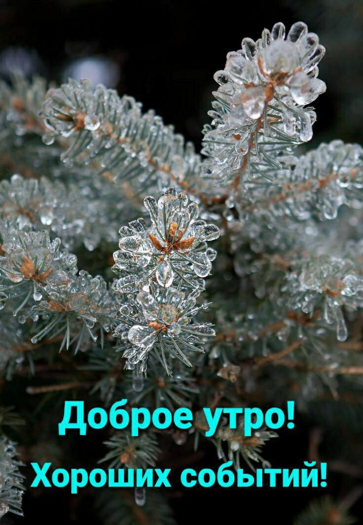 Доброе утро! Хороших событий!