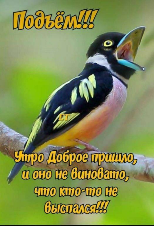 Подъём!!! Утро Доброе пришло, и оно не виновато, что кто-то не выспался!!!