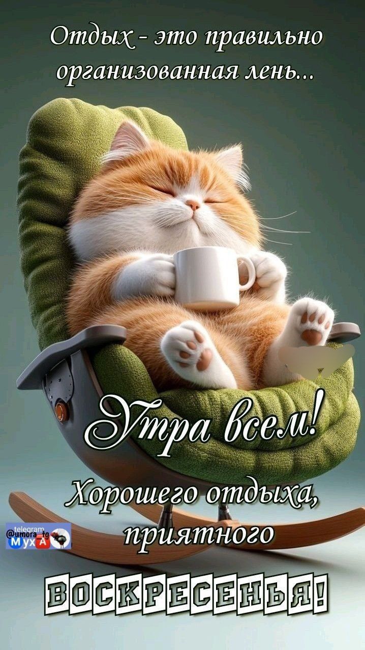 Отдых - это правильно организованная лень... Утра всем! Хорошего отдыха, приятного воскресенья!