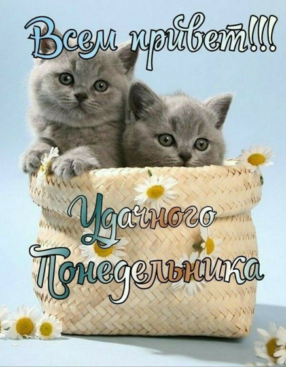 Всем привет!!! Удачного Понедельника