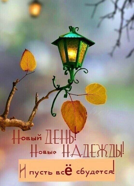 Новый день! Новые надежды! И пусть всё сбудется!