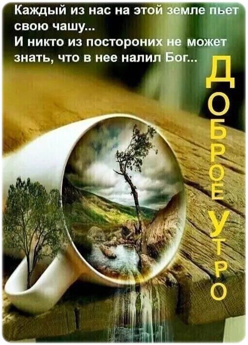 Каждый из нас на этой земле пьет свою чашу... И никто из посторонних не может знать, что в нее налил Бог... Доброе утро