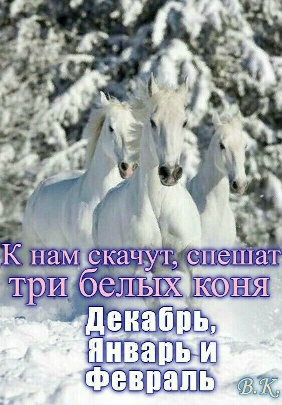 К нам скачают, спешат три белых коня\nДекабрь, Январь и Февраль