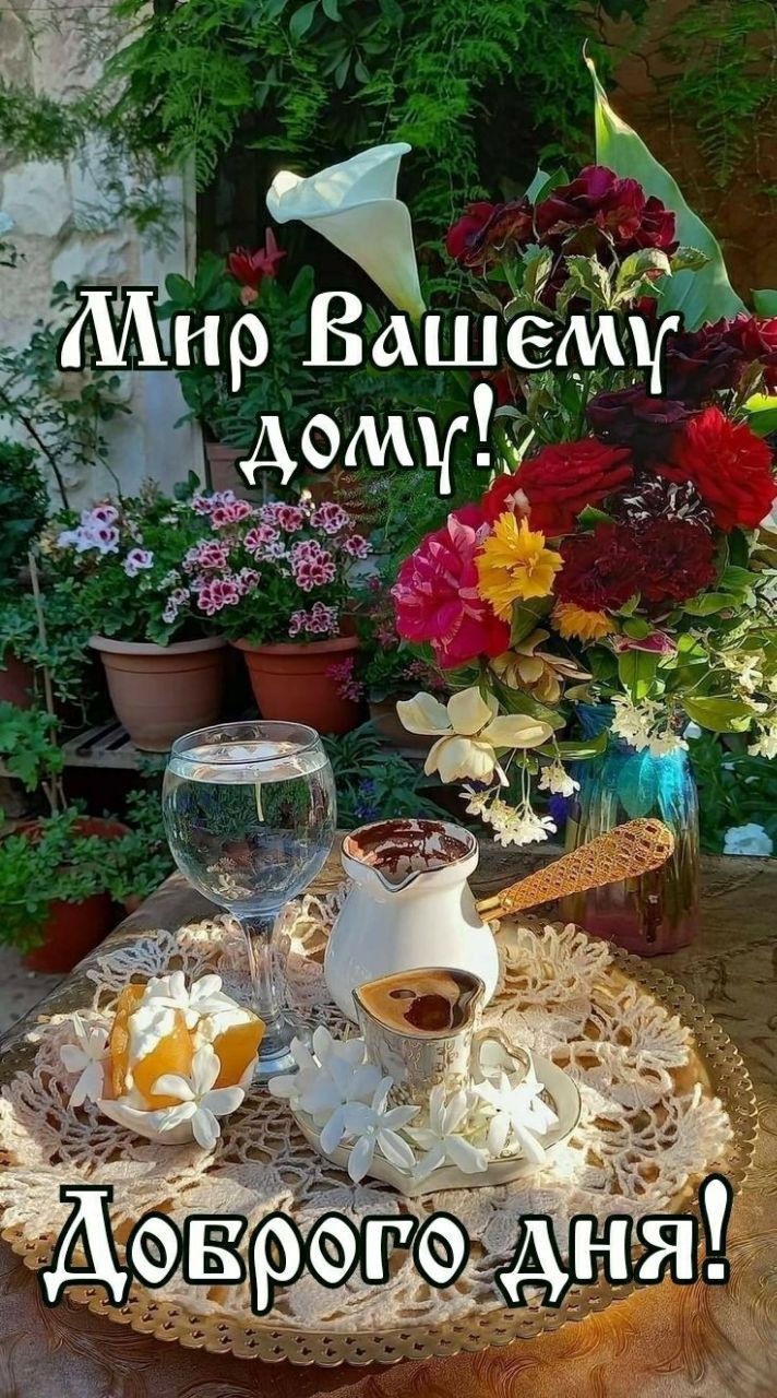 Мир вашему дому! Доброго дня!