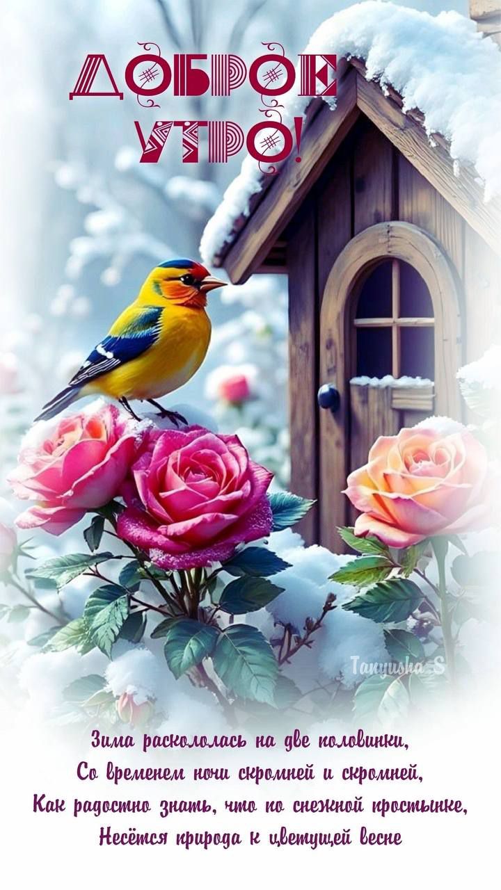 Доброе утро!\nЗима раскололась на две половинки,