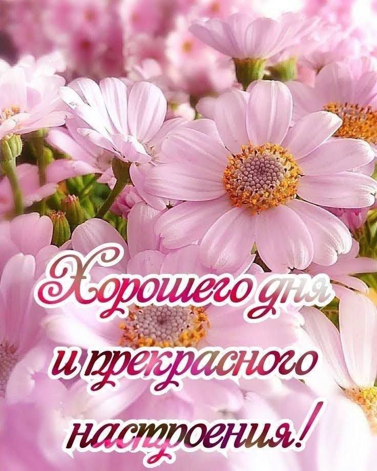 Хорошего дня и прекрасного настроения!
