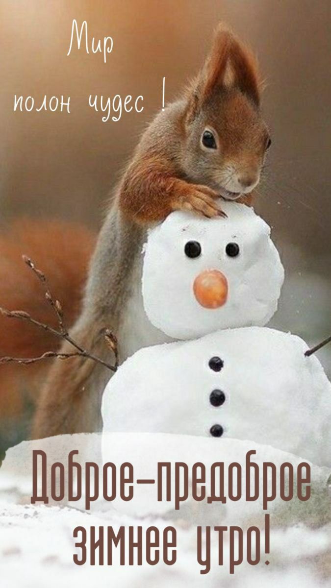 Мир полон чудес. Доброе-предоброе зимнее утро!
