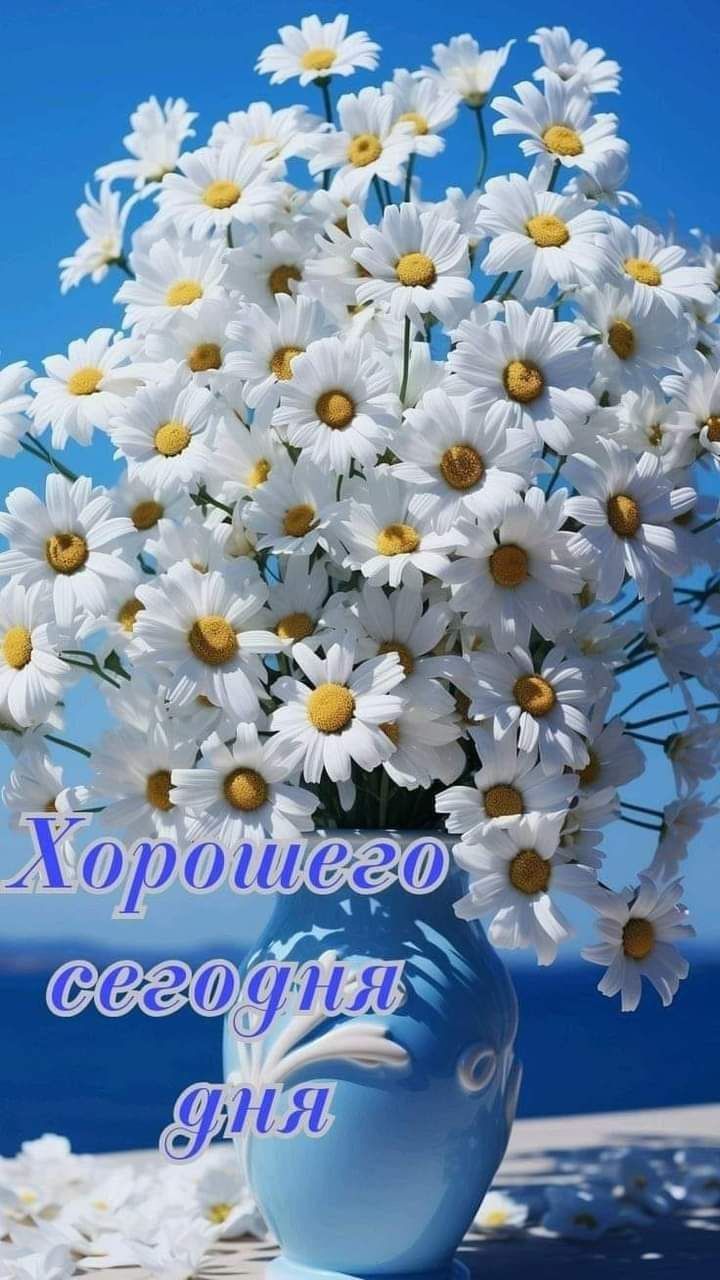 Хорошего сегодня дня