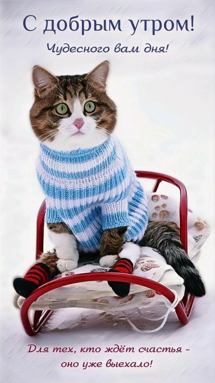 С добрым утром! Чудесного вам дня! Для тех, кто ждёт счастья - оно уже выехало!