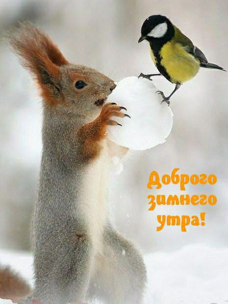 Доброго зимнего утра!