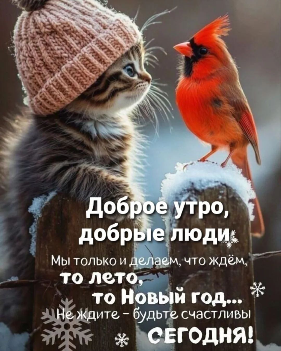 Доброе утро, добрые люди Мы только и делаем, что ждём, то лето, то Новый год... Не ждите – будьте счастливы сегодня!