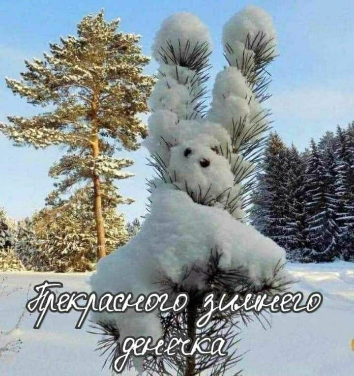 Прекрасного зимнего денечка