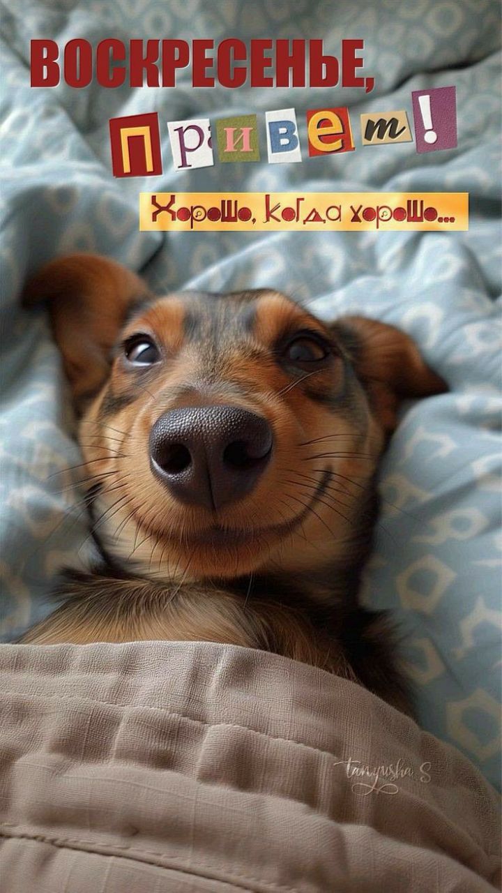 ВОСКРЕСЕНЬЕ, Привет! Хорошие, когда хорошо...