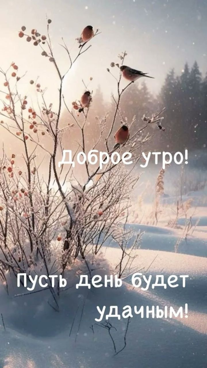 Доброе утро! Пусть день будет удачным!