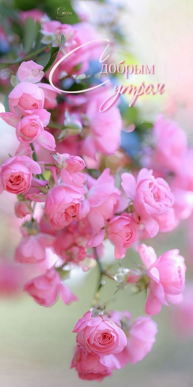С добрым утром