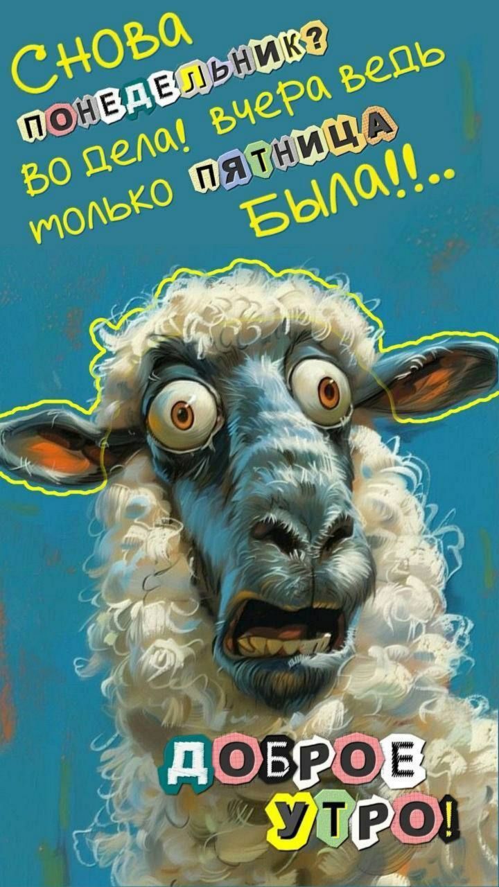 Снова понедельник? во дела! Вчера ведь только пятница была... ДОБРОЕ УТРО!