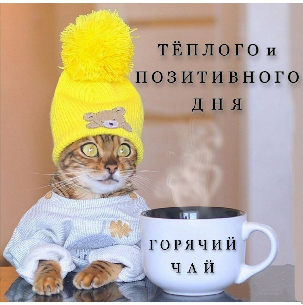 Тёплого и позитивного дня
Горячий чай