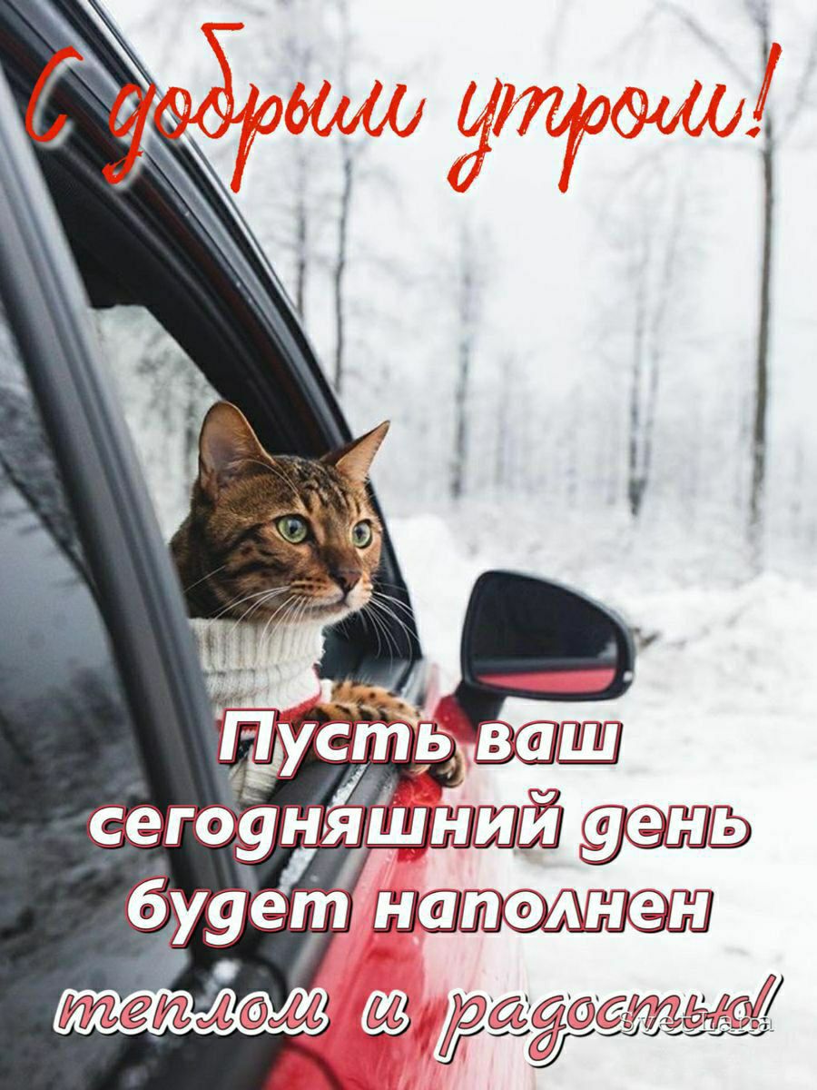 С добрым утром! Пусть ваш сегодняшний день будет наполнен теплом и радостью!
