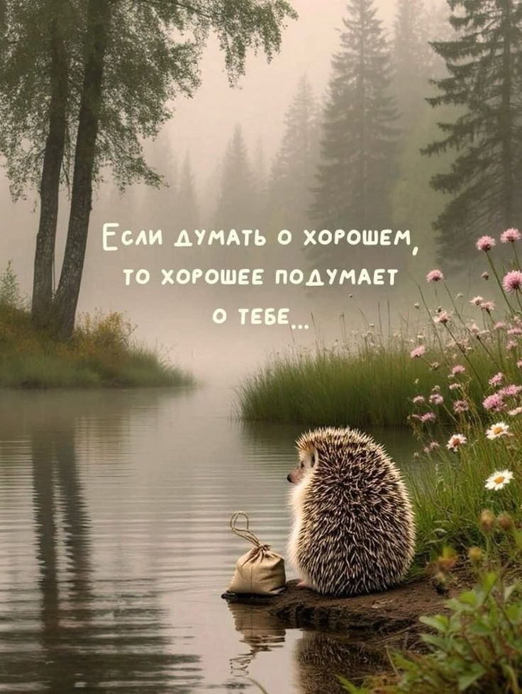 Если думать о хорошем, то хорошее подумает о тебе...