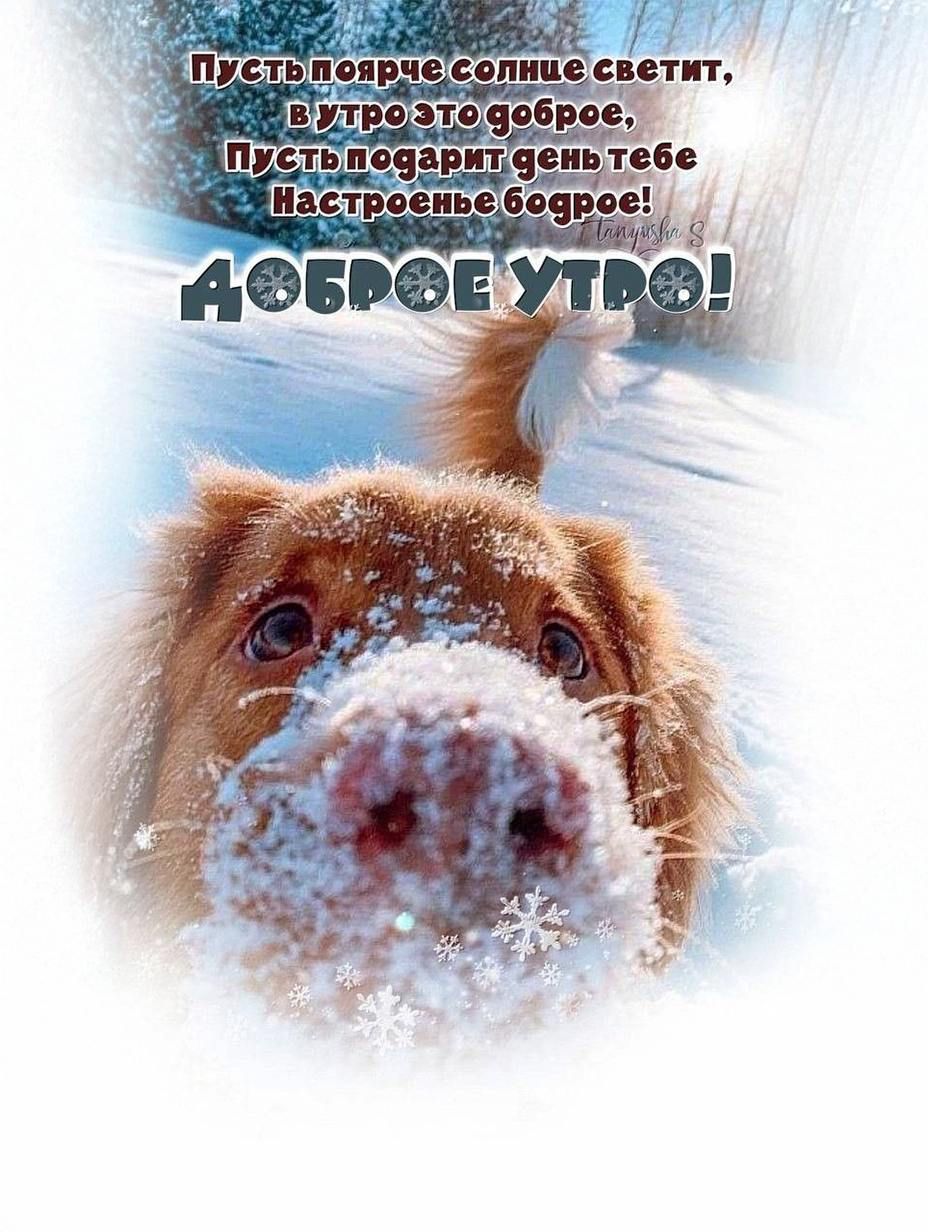 Пусть похрe солнце светит, в утро это доброе, Пусть подарит день тебе Настроенье бодрое! ДОБРОЕ УТРО!