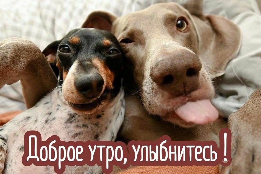 Доброе утро, улыбайтесь!