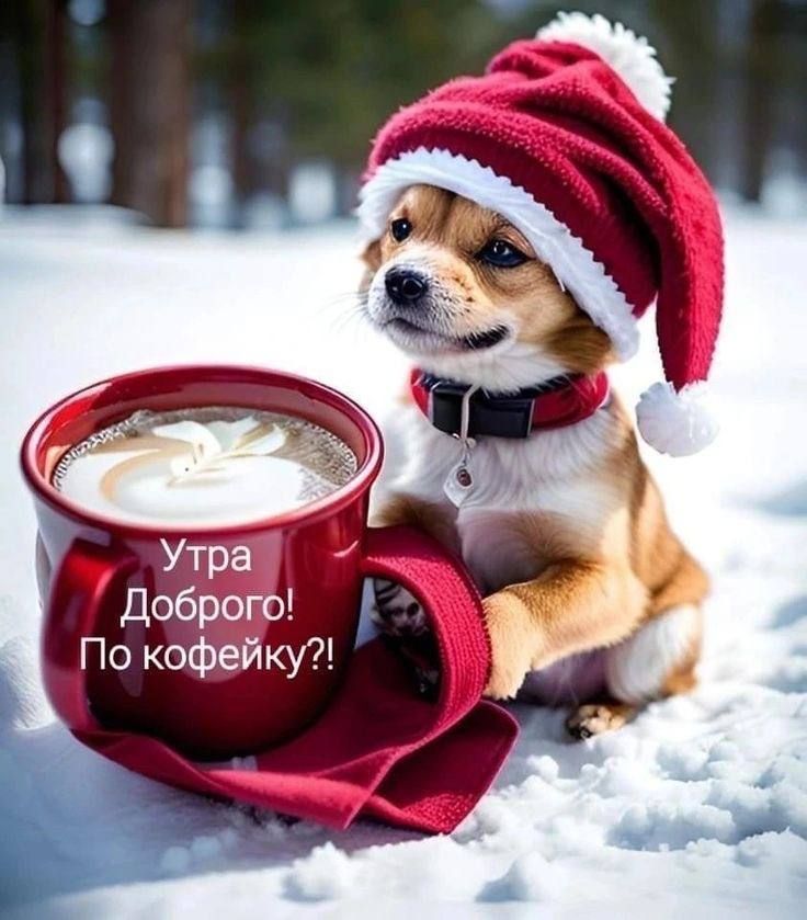 Утра Доброго! По кофейку?!