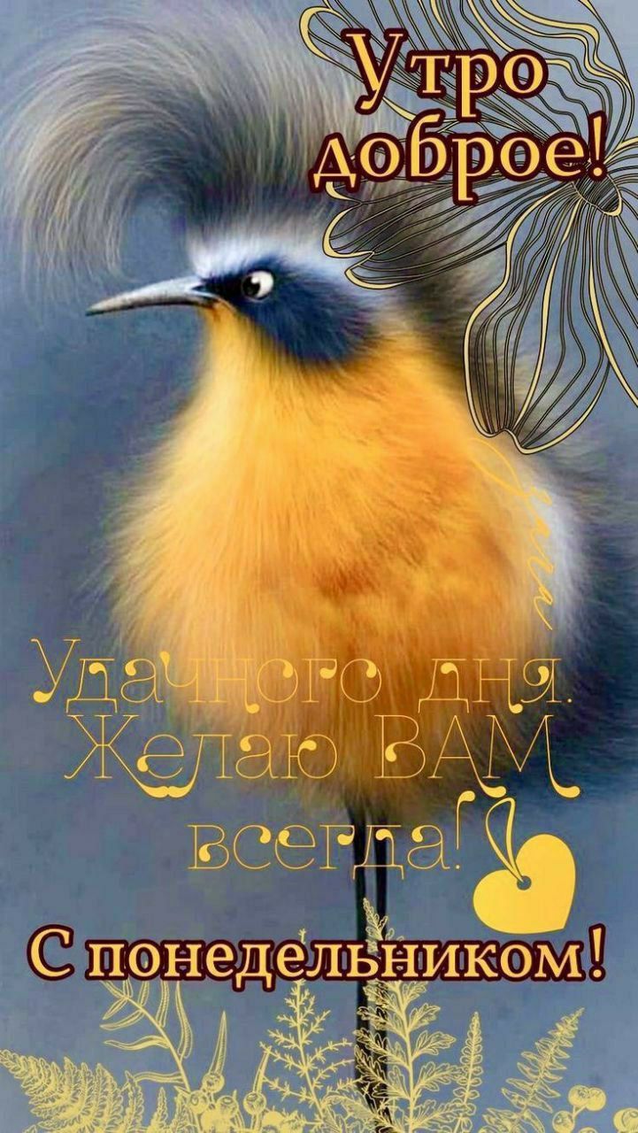 Утро доброе! Удачного дня. Желаю вам всегда! С понедельником!