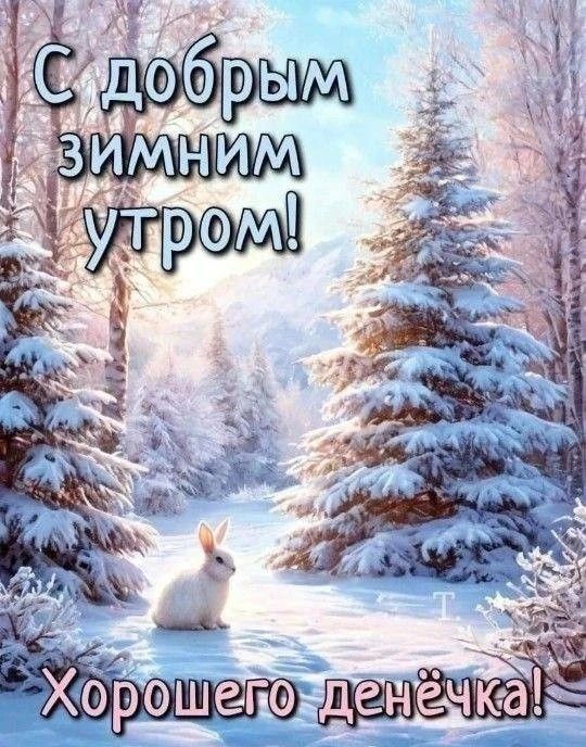 С добрым зимним утром! Хорошего денечка!